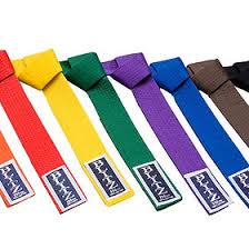 Image result for Colchester Shotokan Karate Club