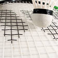 Image result for Bath Spa Badminton Club