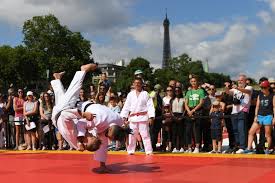 Image result for Reading Wtf Taekwondo