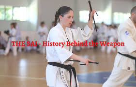 Image result for Sai Martial Arts