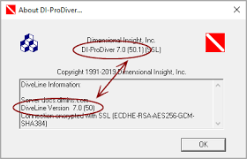 Image result for Diveline