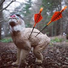 Image result for Fleet Ibex Field Archery Club