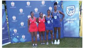 Image result for Engineering Services Netball Club