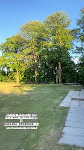 Image result for Follifoot Cc