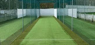 Image result for Thriplow Cricket Club