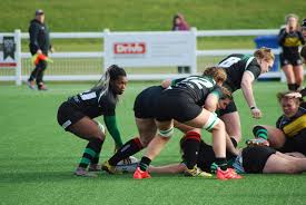 Image result for St Mary's Old Boys Rugby Union Football Club