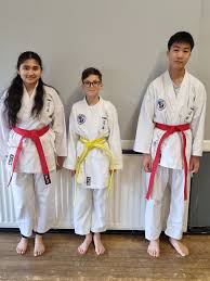 Image result for Abbey Fit Karate Club & Seiki Juku
