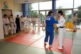 Image result for Tora-Kai Judo