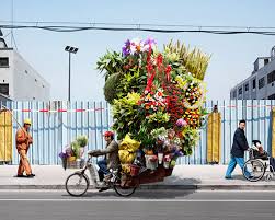 Image result for Alain Delorme