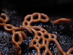 Attēlu rezultāti vaicājumam “Hemitrichia sordivesiculosa macro”