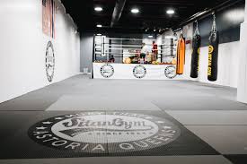 Image result for S J T B Thai Boxing Gym