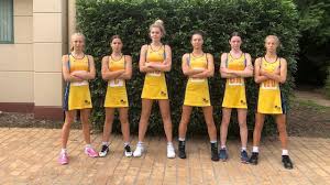 Image result for Hyde Netball Club