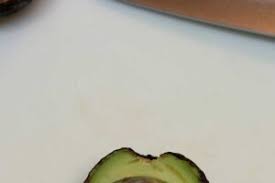 「アボカド大臣」の画像検索結果