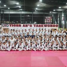 Image result for Reading Tkd