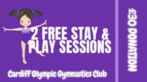 Image result for Cardiff Olympic Gymnastics Club