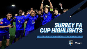 Image result for Chipstead Fc