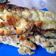 Attēlu rezultāti vaicājumam “Sarcodontia crocea”