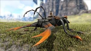 Attēlu rezultāti vaicājumam “Lucanidae”