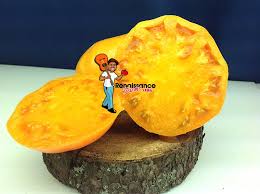 Afbeeldingsresultaat voor amana orange beefsteak tomato