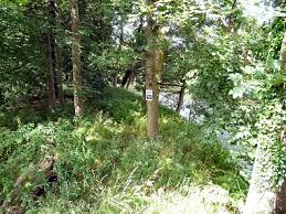 Image result for Cheadle Angling Club