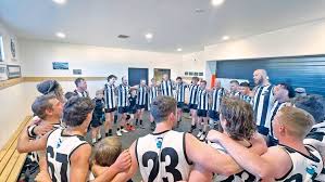 Image result for Ledbury Magpies Netball Club