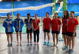 Image result for Boothferry Junior Badminton Club