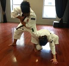 Image result for Peterborough Shorinji Kempo Club