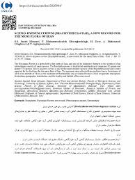 Attēlu rezultāti vaicājumam “Sciuro-hypnum curtum”