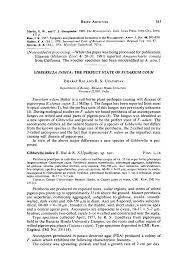 Attēlu rezultāti vaicājumam “Amaurochaete sp.”