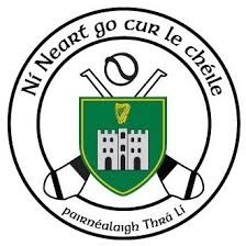 Image result for Causeway Hurling Club