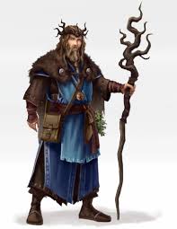 Image result for druid