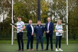 Image result for University Of Limerick Gaa Hurling Club