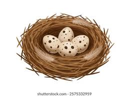 Attēlu rezultāti vaicājumam “nest”