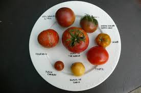 Afbeeldingsresultaat voor grubbs mystery green tomato