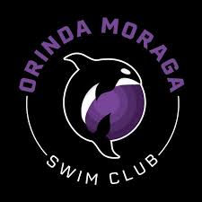 Image result for Ilfracombe Orcas Octopush Club