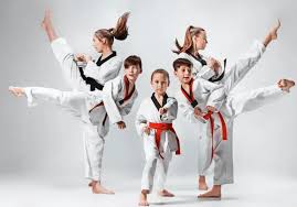 Image result for ATA Martial Arts Maple Ridge
