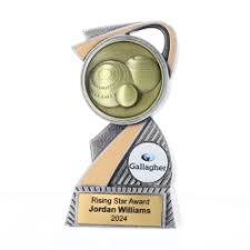 Image result for Arclight Bowls Club