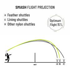 Image result for Flight Path Badminton Club