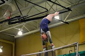 Image result for Tessaro Gymnastics Club
