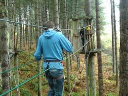 Image result for The Go Ape Experience (Delamere Forest)