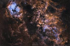 Attēlu rezultāti vaicājumam “Cygnus”