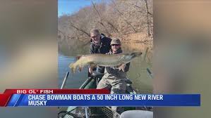 Image result for Chase Bowmen