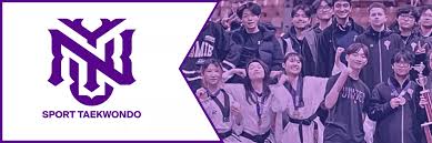Image result for York University Taekwondo Club