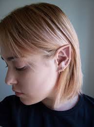Image result for ear mod