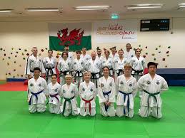 Image result for Utf Taekwondo Cymru Cardiff