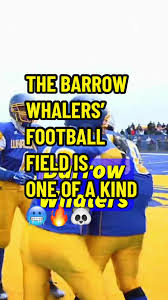 Image result for Border & Heath End Football Club