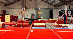 Image result for Swallows Trampoline Club