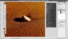 9 Free Photoshop Alternatives and Their Brief Reviews