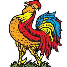 Image result for Harrogate Cricket Club