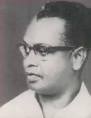 நாட்டின் புனை